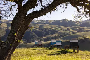 28000 Underwood Rd, Salinas, CA 93908 - Photo 6