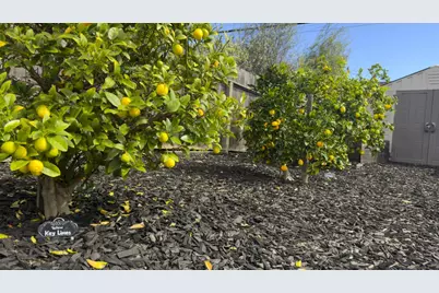 2081 Shoreview Ave, San Mateo, CA 94401 - Photo 30