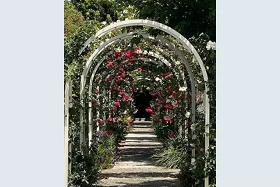 444 San Antonio Rd 1A, Palo Alto, CA 94306 - Photo 30