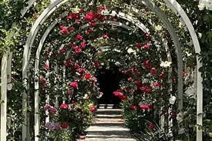 444 San Antonio Rd 1A, Palo Alto, CA 94306 - Photo 30