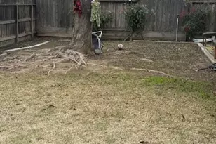 375 Chestnut St, Los Banos, CA 93635 - Photo 10