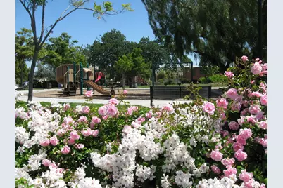 5805 Chambertin Dr, San Jose, CA 95118 - Photo 60