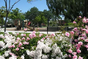 5805 Chambertin Dr, San Jose, CA 95118 - Photo 60