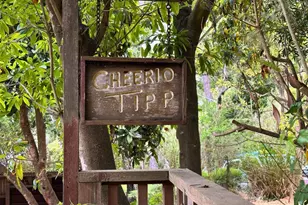 0 Palou 9 NW Of Casanova, Carmel, CA 93921 - Photo 2