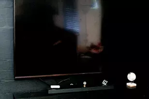 18940 Loree Ave, Cupertino, CA 95014 - Photo 10