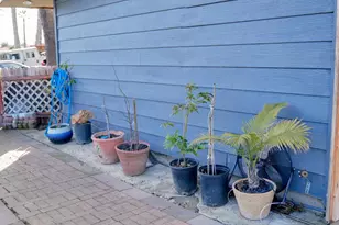 18940 Loree Ave, Cupertino, CA 95014 - Photo 20