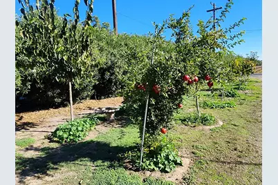 3719 N Hart Rd, Modesto, CA 95358 - Photo 34