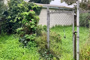 413 Milton Ave, San Bruno, CA 94066 - Photo 36