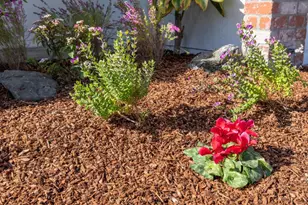 34373 Auckland Ct, Fremont, CA 94555 - Photo 2