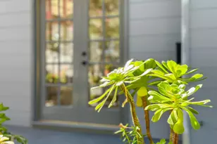 17981 Rose Ct, Monte Sereno, CA 95030 - Photo 52