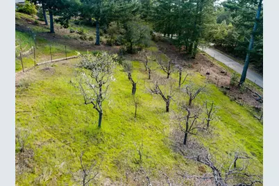 125 McGivern Way, Santa Cruz, CA 95060 - Photo 40