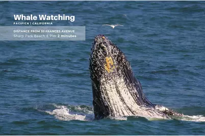 52 Frances Ave, Pacifica, CA 94044 - Photo 50