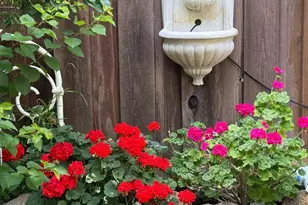 174 Villa Ave, Los Gatos, CA 95030 - Photo 56