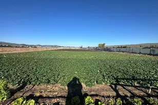 155 San Bruno Ave, Morgan Hill, CA 95037 - Photo 10