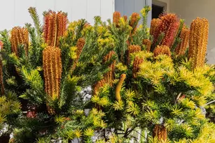 840 Hastings Ave, Salinas, CA 93901 - Photo 4