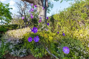 1484 Kingfisher Way, Sunnyvale, CA 94087 - Photo 62