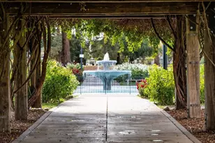 1555 Calaveras Ave, San Jose, CA 95126 - Photo 94