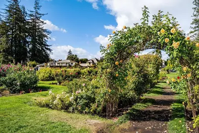 1555 Calaveras Ave, San Jose, CA 95126 - Photo 78