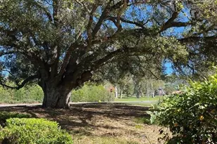 8007 Pinot Noir Ct, San Jose, CA 95135 - Photo 6