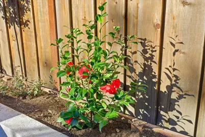 700 Chiquita Ave 19, Mountain View, CA 94041 - Photo 10