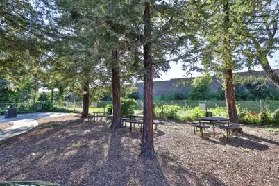 880 Catkin, San Jose, CA 95128 - Photo 28