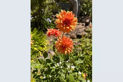 578 Cresta Vista Ln, Portola Valley, CA 94028 - Photo 22