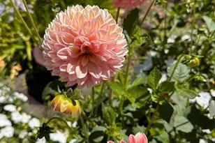 578 Cresta Vista Ln, Portola Valley, CA 94028 - Photo 26