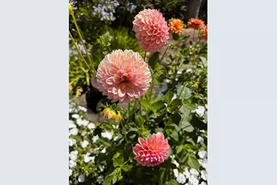 578 Cresta Vista Ln, Portola Valley, CA 94028 - Photo 24