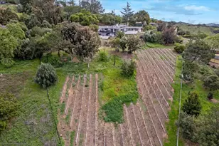 20550 Buena Monte Dr, San Jose, CA 95120 - Photo 14