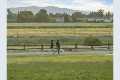 323 Blossom Hill Rd 3, San Jose, CA 95123 - Photo 30