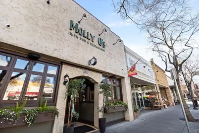 10 Mayflower Ln, San Carlos, CA 94070 - Photo 52