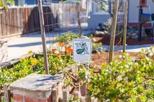 214 Fairmount Ave, Santa Cruz, CA 95062 - Photo 94