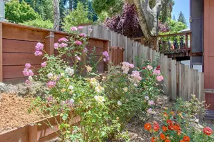 41 Grandview Ave, Felton, CA 95018 - Photo 4