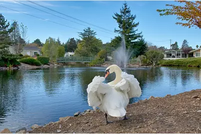 225 Mount Hermon Rd 19A, Scotts Valley, CA 95066 - Photo 26