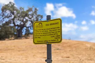 6221 Glider Dr, San Jose, CA 95123 - Photo 34