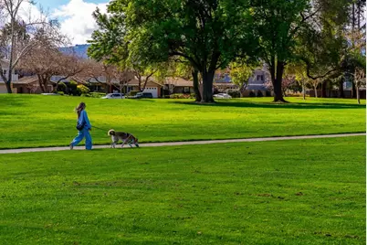 508 Holthouse Ter, Sunnyvale, CA 94087 - Photo 48