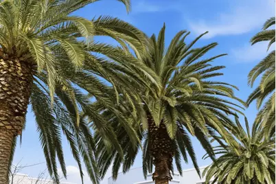 508 Holthouse Ter, Sunnyvale, CA 94087 - Photo 38