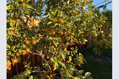 2121 Francis Ave, Santa Clara, CA 95051 - Photo 26