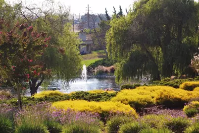 8750 McCarty Ranch Dr, San Jose, CA 95135 - Photo 10