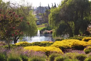 8750 McCarty Ranch Dr, San Jose, CA 95135 - Photo 10