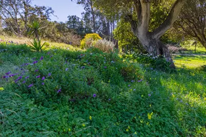 16787 Blackie Rd, Salinas, CA 93907 - Photo 12