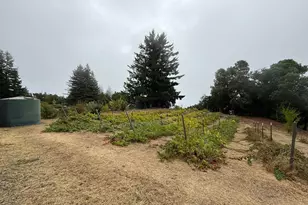 24854 Skyland Rd, Los Gatos, CA 95033 - Photo 76