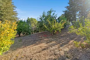 24854 Skyland Rd, Los Gatos, CA 95033 - Photo 54
