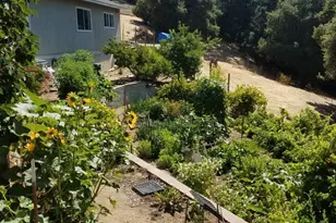 24854 Skyland Rd, Los Gatos, CA 95033 - Photo 62