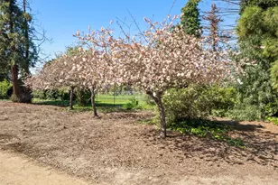 1302 Fairway Entrance Dr, San Jose, CA 95131 - Photo 22