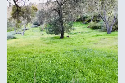 30010 Olivia Dr, Greenfield, CA 93927 - Photo 12