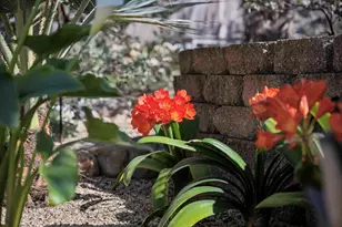 217 Edinburgh Ave, Monterey, CA 93940 - Photo 34