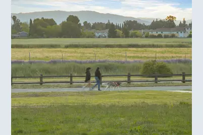 5114 Sussex Park Ct, San Jose, CA 95136 - Photo 52