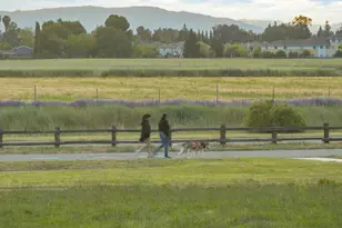 5114 Sussex Park Ct, San Jose, CA 95136 - Photo 52