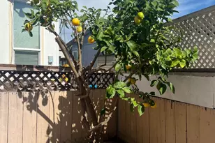 600 E Weddell Dr 192, Sunnyvale, CA 94089 - Photo 40